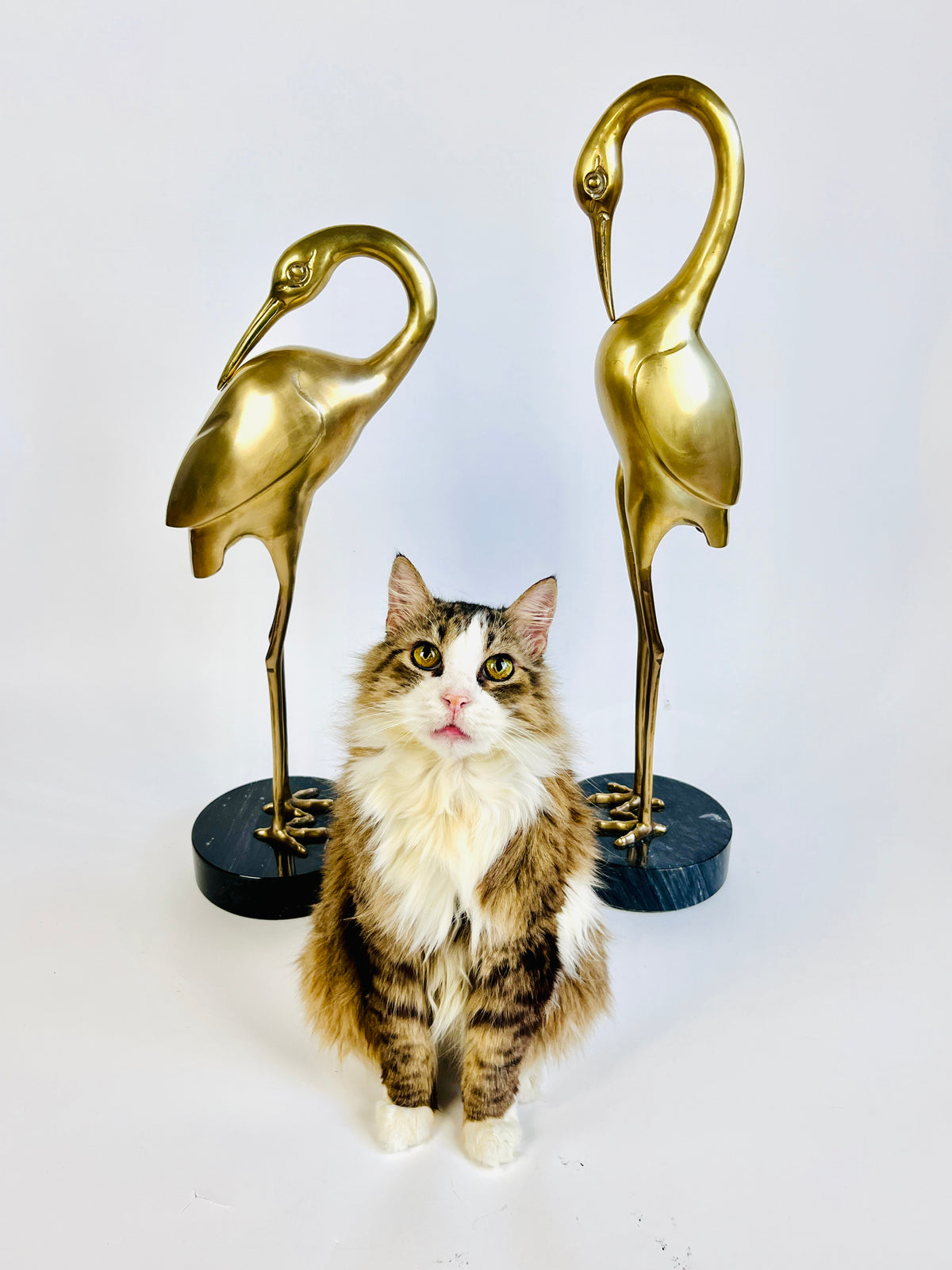 Pair of Bronze and Marble Bird Sculptures