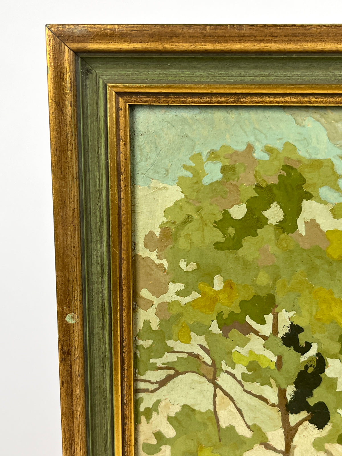 Vintage Paint by Numbers - Swans in the Park