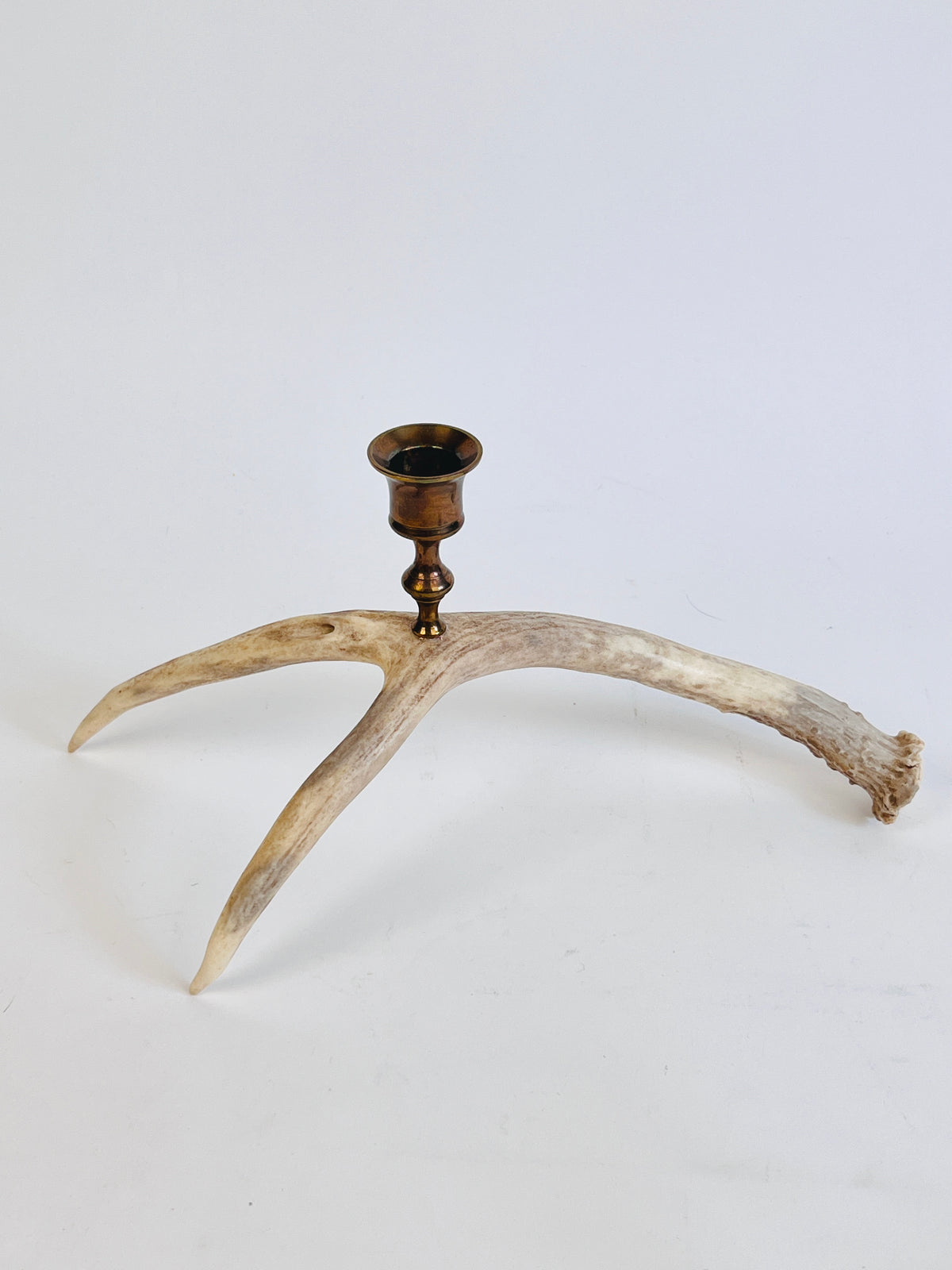 Natural Drop Antler Candle Holders, a Pair