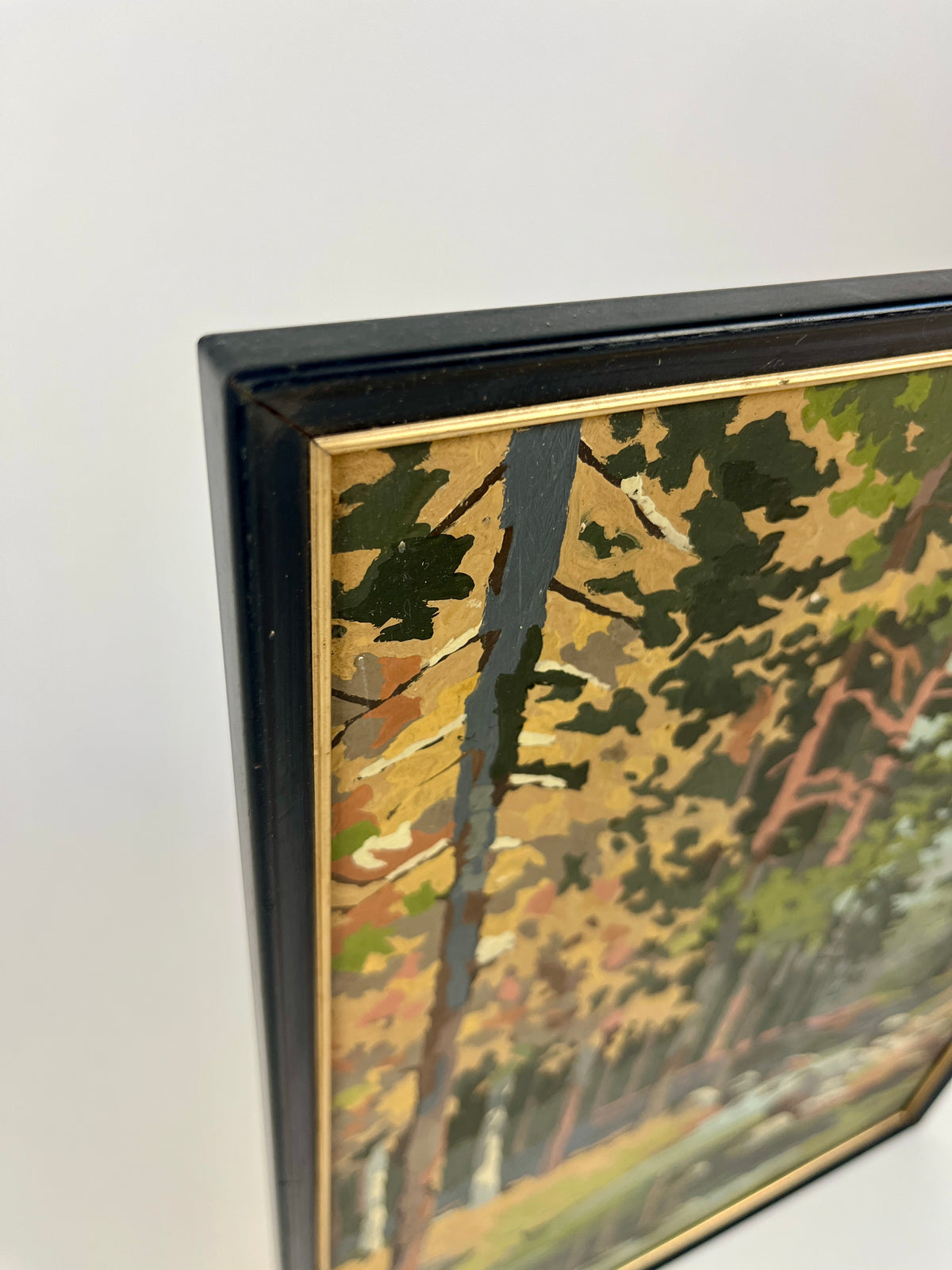 Vintage Paint by Numbers - Fall Foliage & Stream