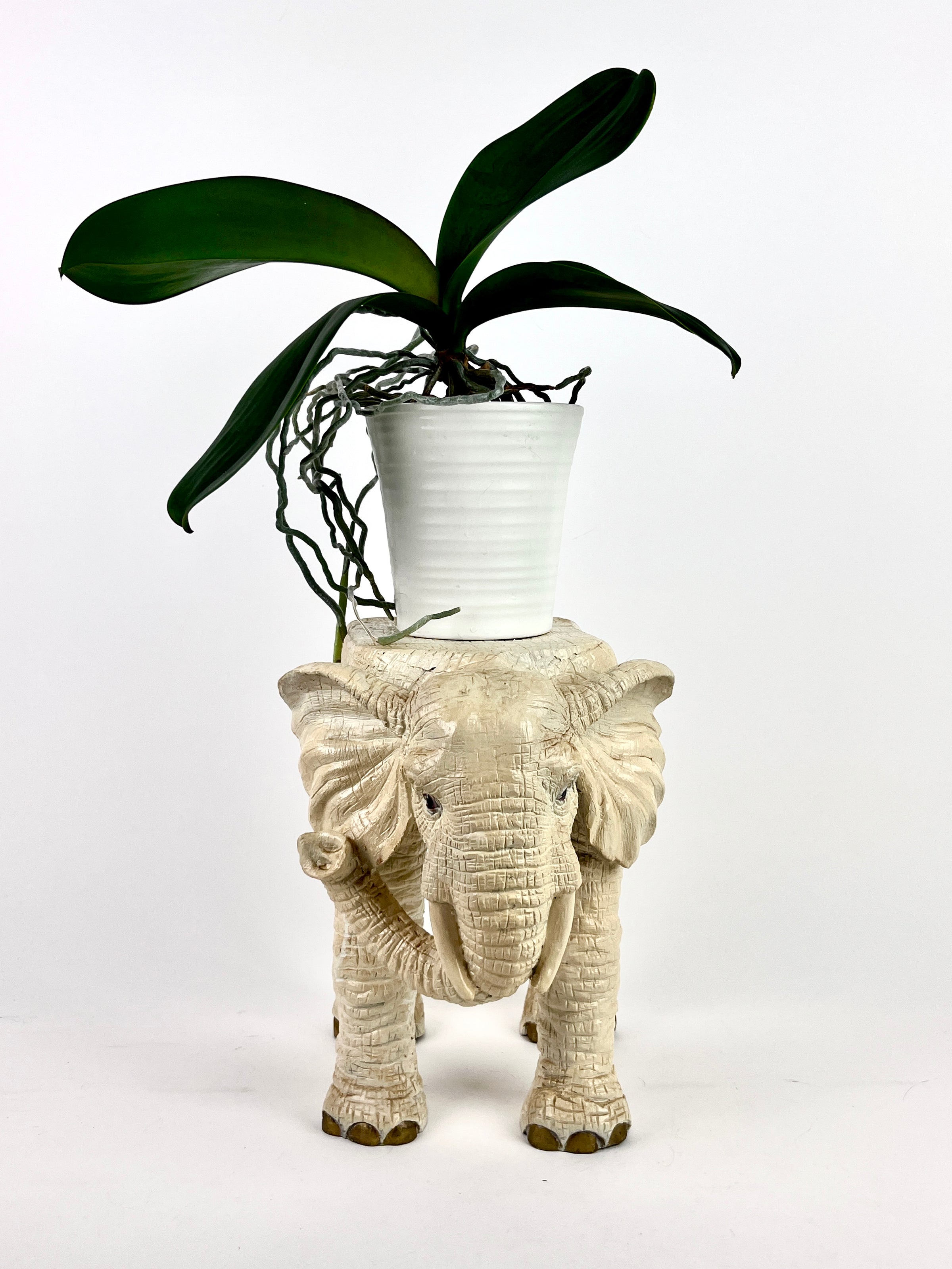 elephant pot plant holder Vintage Elephant Plant Stand – Dovetail
