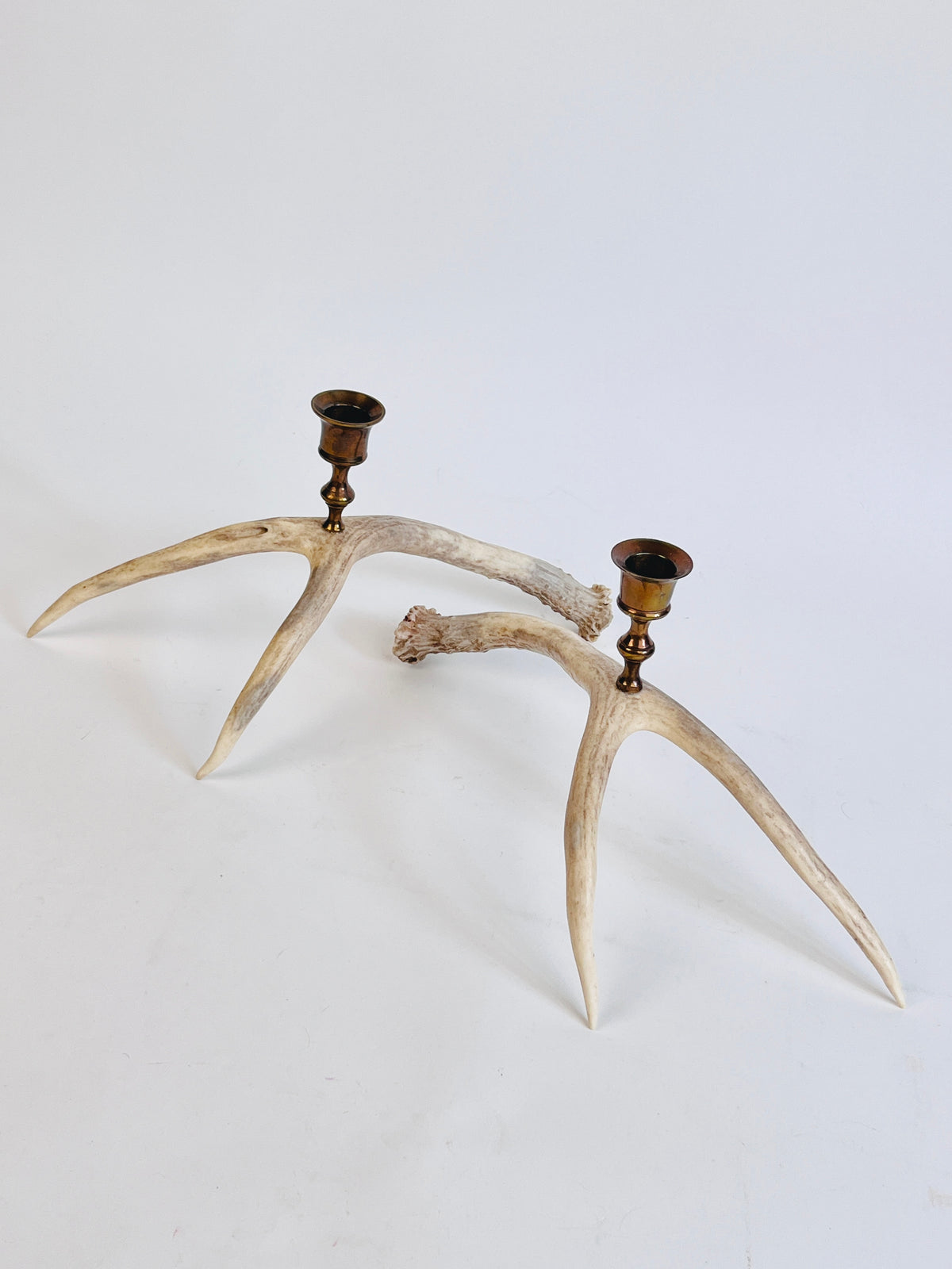 Natural Drop Antler Candle Holders, a Pair