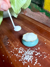 Vintage Porcelain Salt Server & Spoon - Blue