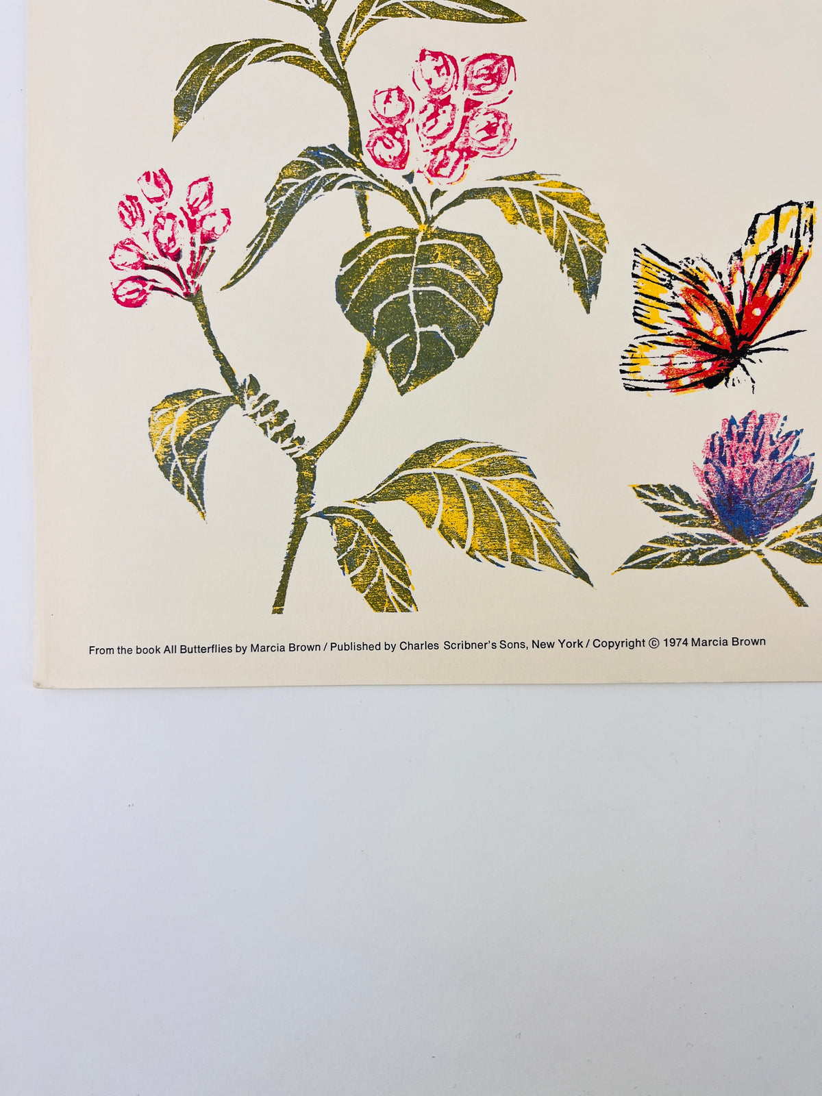 Vintage Butterflies & Flowers Lithograph by Marcia Brown, 1974