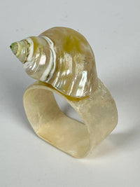 Vintage Genuine Shell Napkin Rings, 6pc