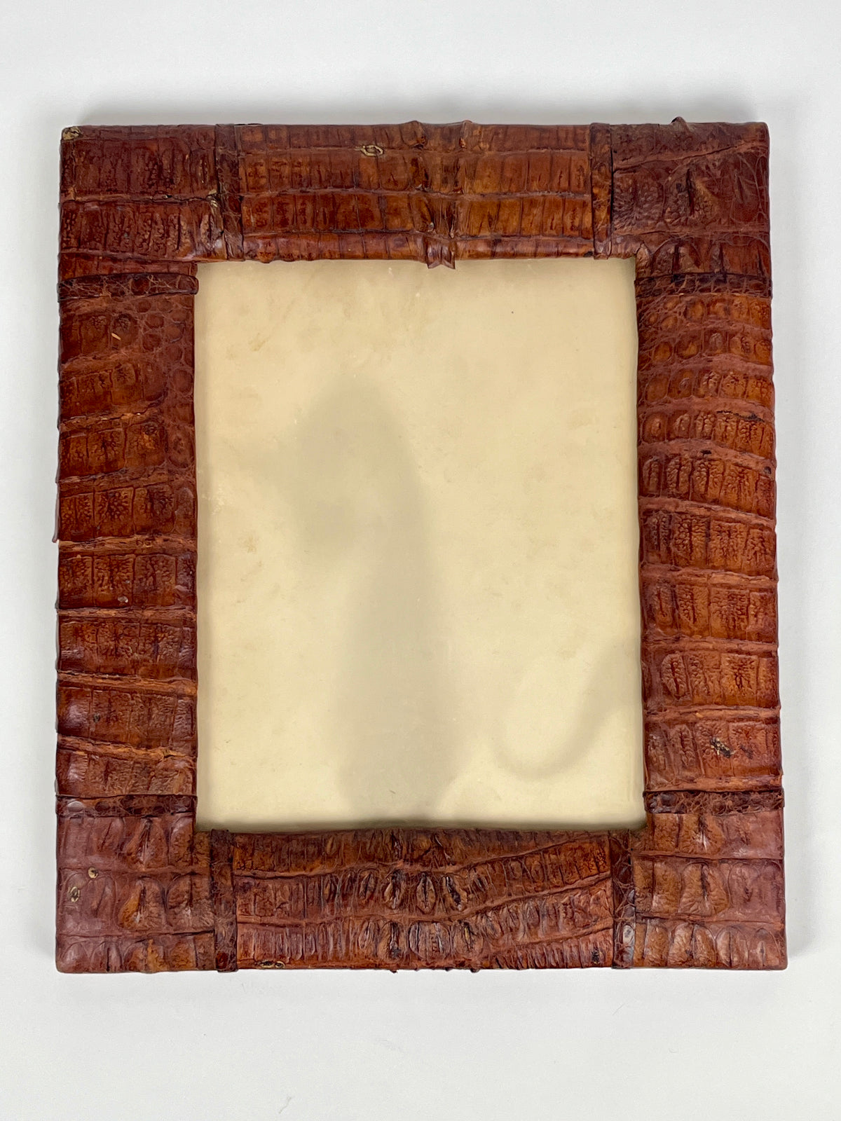 Rare 1930s Genuine Crocodile Skin Picture Frame