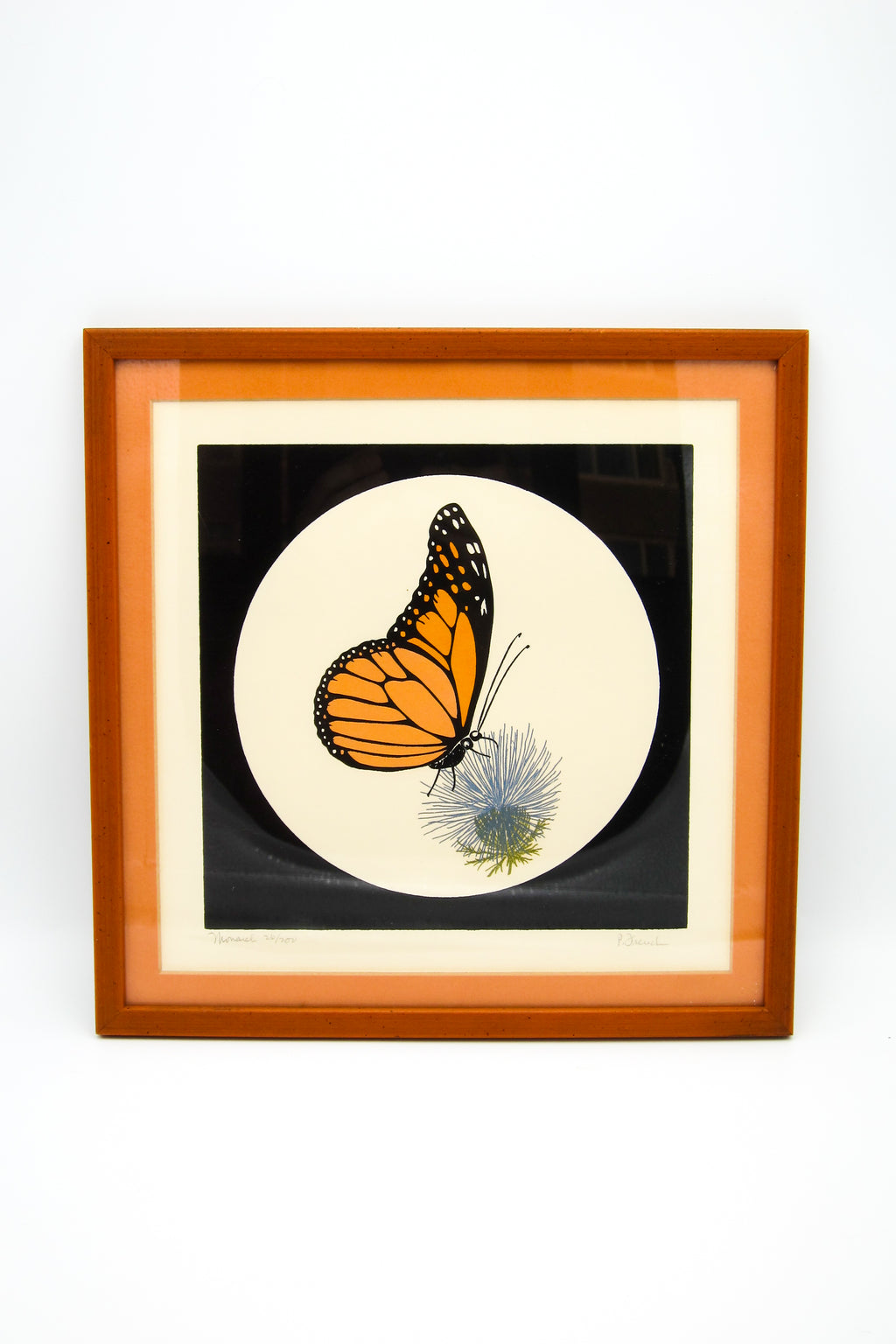 Framed Monarch Butterfly Screen Print