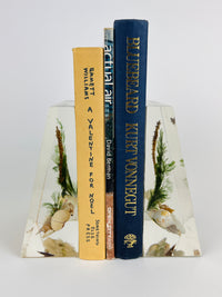 Vintage Lucite Seahorse & Shell Bookends - a Pair