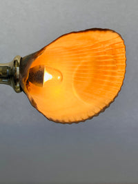Vintage Lucite and Seashell Lamp