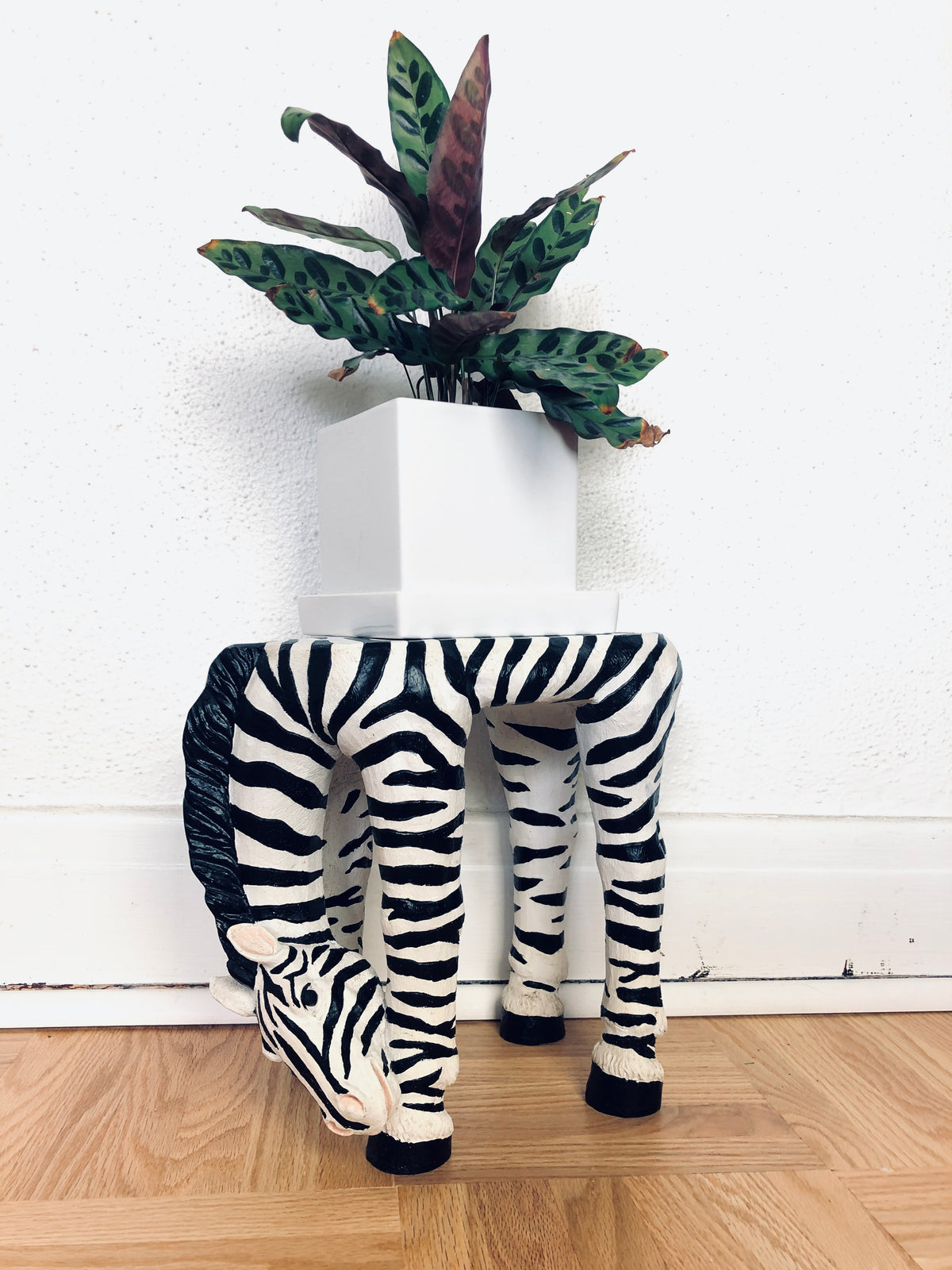 Zebra Plant Stand / Shelf