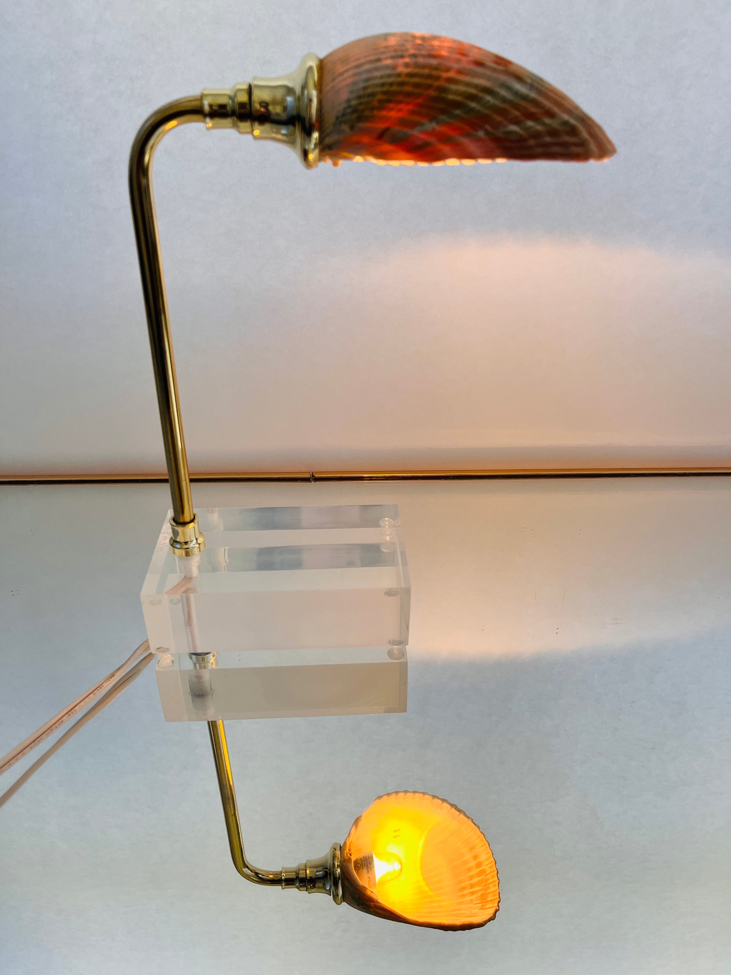 Goose Neck Clam Shell Brass Desk Lamp