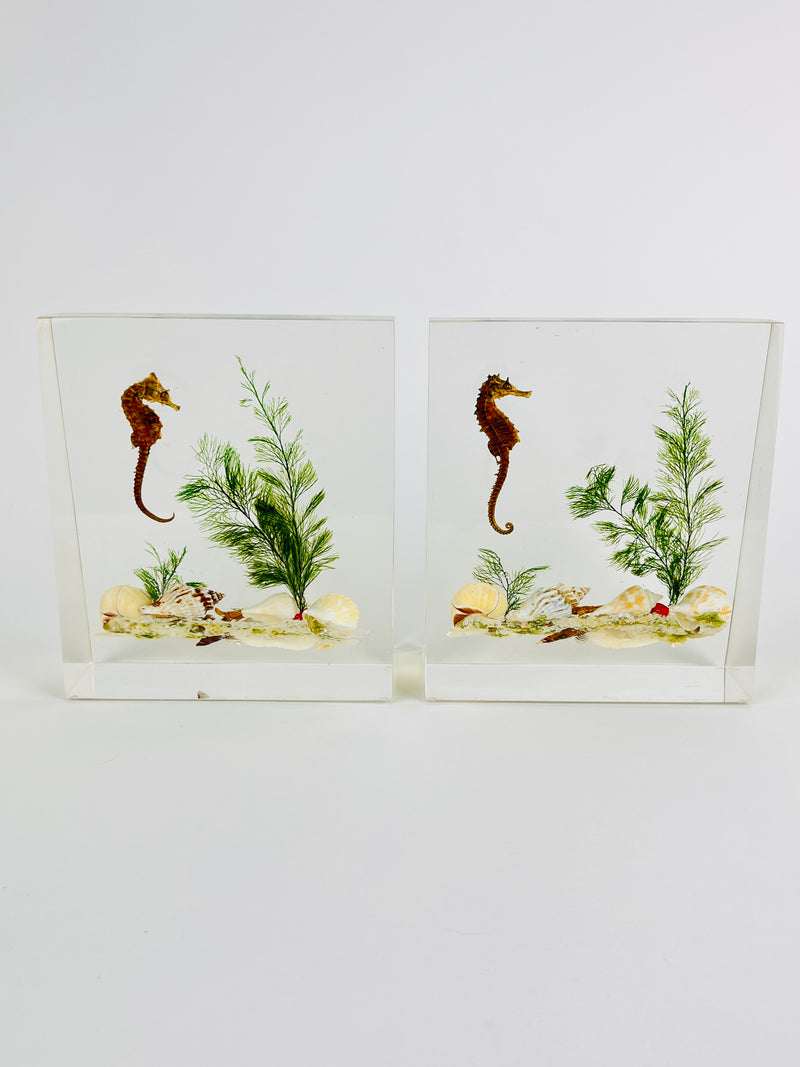 Vintage Lucite Seahorse & Shell Bookends - a Pair